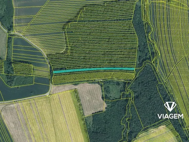 Prodej podílu lesa, Ostrožská Lhota, 978 m2