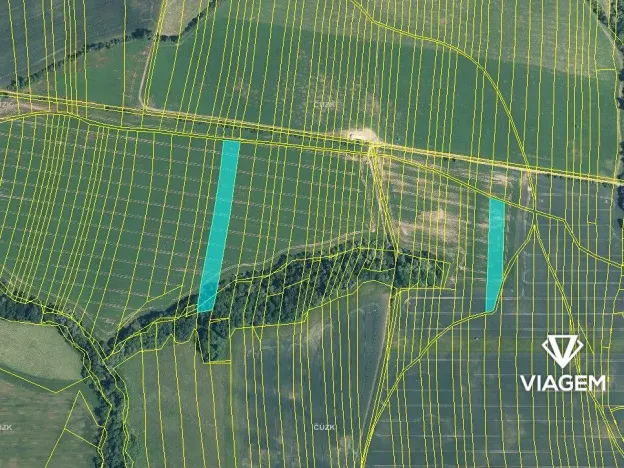 Prodej podílu pole, Osvětimany, 3431 m2