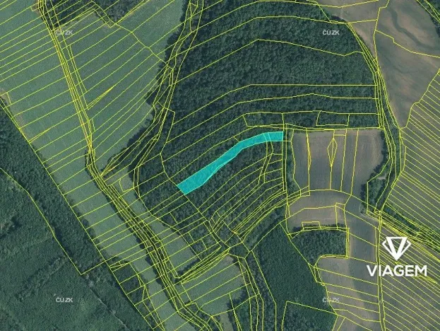 Prodej lesa, Moravské Bránice, 4068 m2