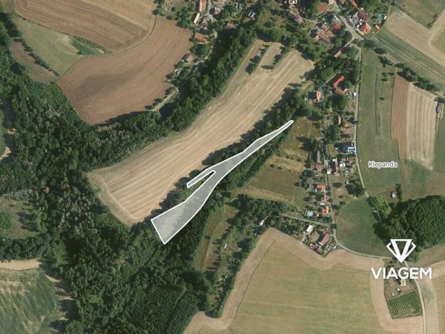 Prodej lesa, Hněvkovice, 3744 m2