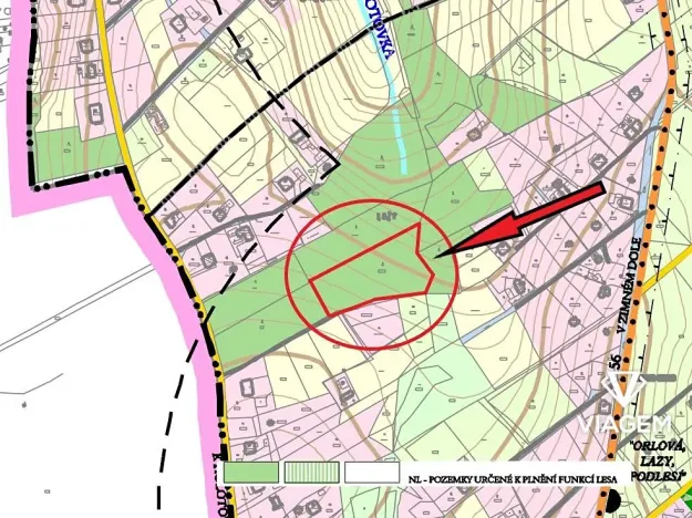 Prodej lesa, Orlová, 4764 m2