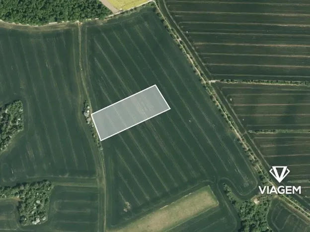 Prodej podílu pole, Zborovice, 1819 m2