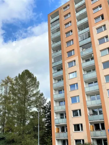 Pronájem bytu 1+1, Brno, Horácké náměstí, 49 m2