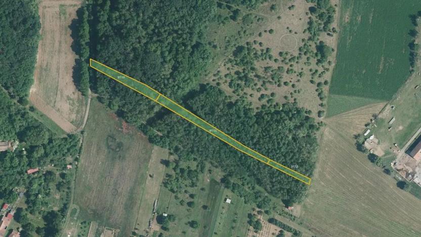 Prodej pole, Silůvky, 21545 m2