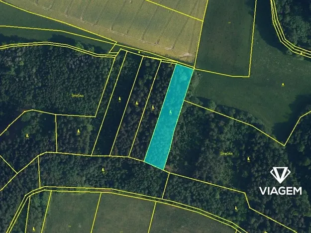 Prodej podílu lesa, Bílá, 1141 m2