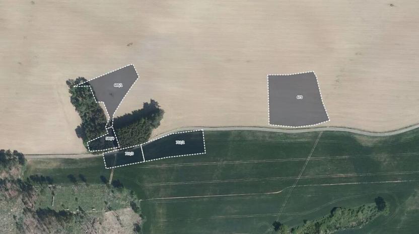 Prodej pole, Hořice, 32824 m2