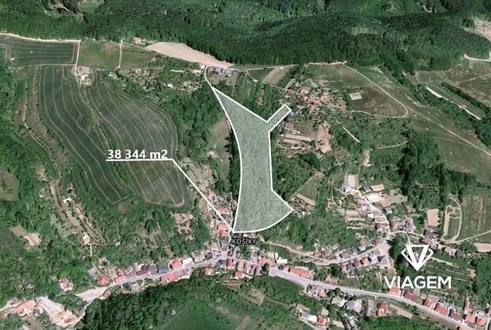 Prodej podílu lesa, Košíky, 6802 m2