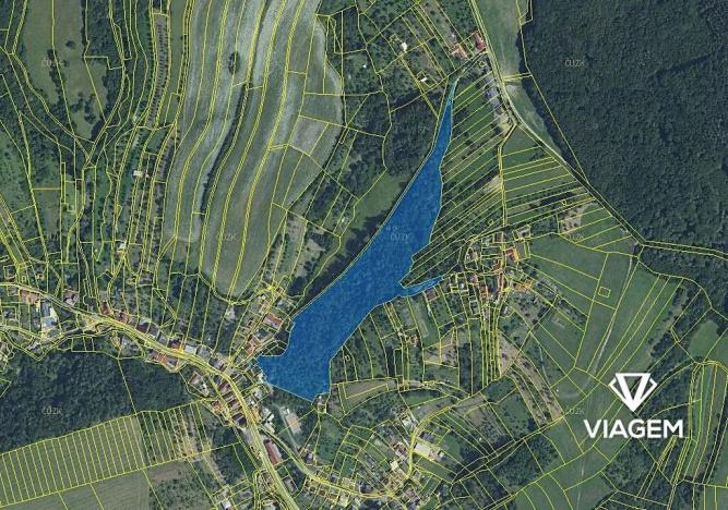 Prodej podílu lesa, Košíky, 6802 m2