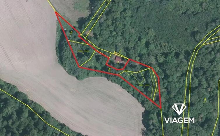 Prodej podílu lesa, Vráž, 3564 m2