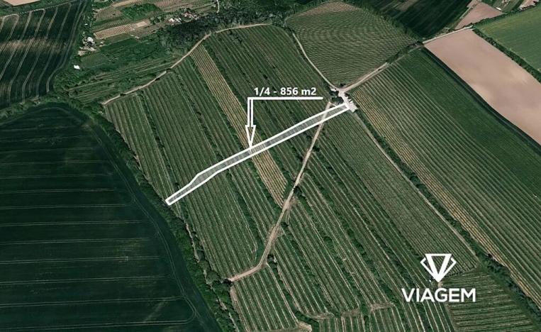 Prodej podílu pole, Boršice, 856 m2