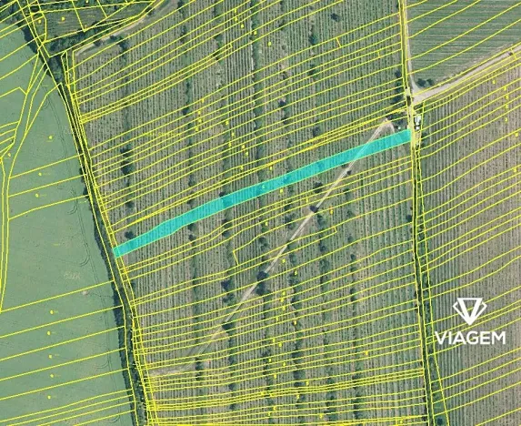 Prodej podílu pole, Boršice, 856 m2