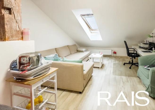 Prodej bytu 2+1, Brno, Bašty, 55 m2