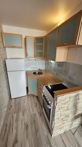 Pronájem bytu 1+1, Most, Komořanská, 40 m2