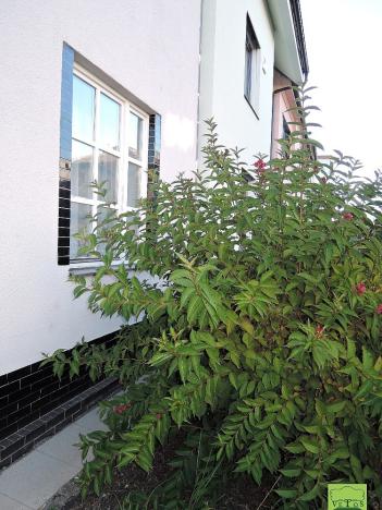 Prodej rodinného domu, Brno, Buzkova, 91 m2