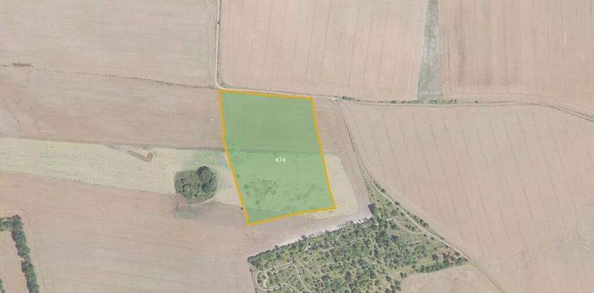 Prodej pole, Velvary, 7802 m2