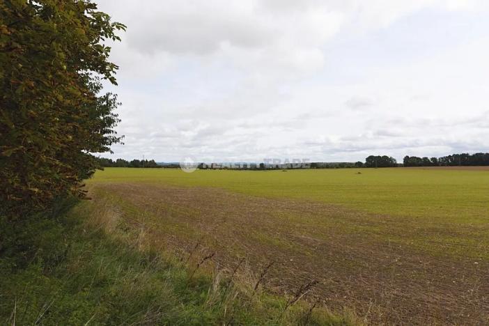 Prodej rodinného domu, Vodňany, 281 m2