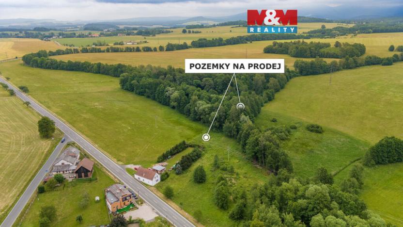 Prodej louky, Dětřichov, 4178 m2