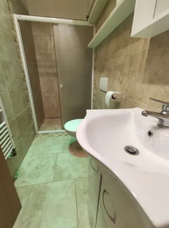 Pronájem bytu 1+1, Ostrava, Daliborova, 41 m2