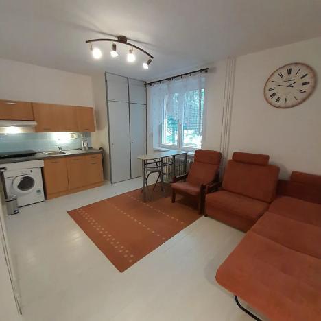 Pronájem bytu 1+kk, Kopřivnice, Družební, 29 m2