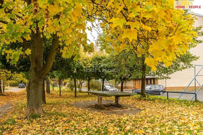 Prodej bytu 3+1, Brandýs nad Labem-Stará Boleslav, Brázdimská, 86 m2