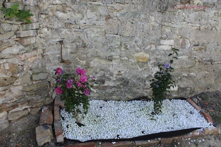 Prodej rodinného domu, Černčice, Žižkova, 65 m2