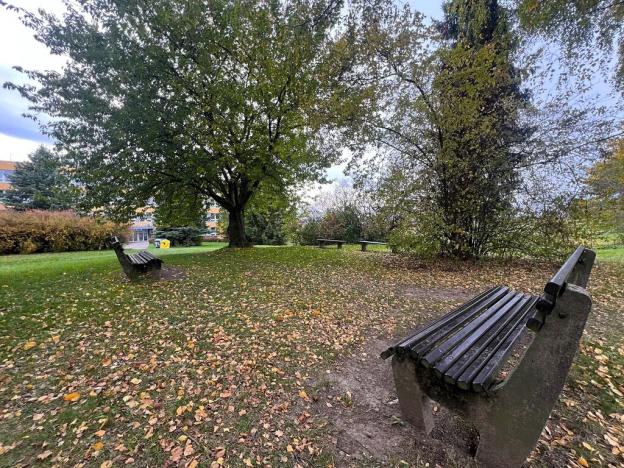 Prodej bytu 5+1, Nové Město nad Metují, Nad Stadionem, 89 m2