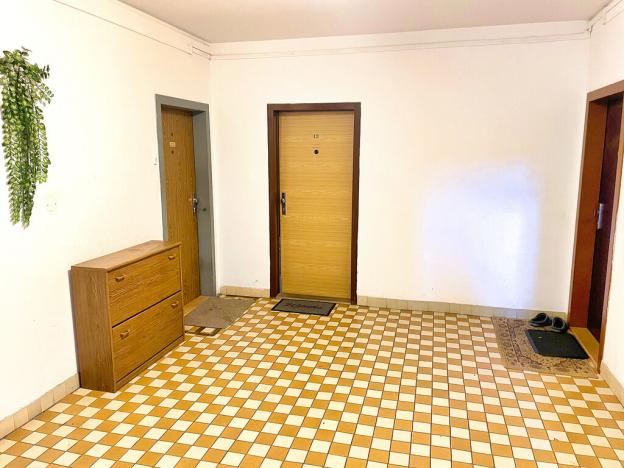 Pronájem bytu 1+kk, České Budějovice - České Budějovice 2, K. Chocholy, 30 m2