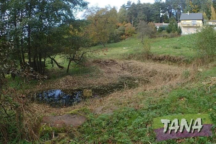 Prodej pozemku pro bydlení, Koberovy, 9985 m2