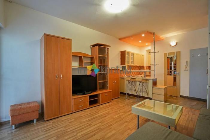 Pronájem bytu 1+kk, Brno, Zlínská, 30 m2