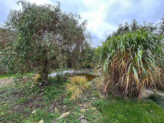 Dražba rodinného domu, Mokré, 240 m2