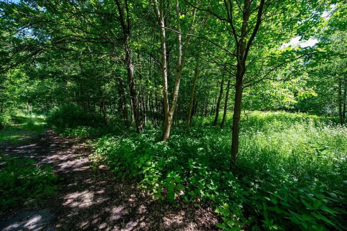 Prodej pozemku pro bydlení, Choustník, 114846 m2