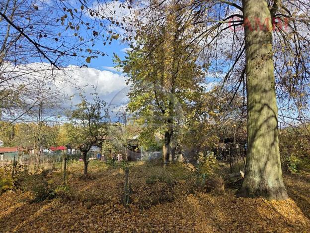 Prodej zahrady, Františkovy Lázně, 405 m2