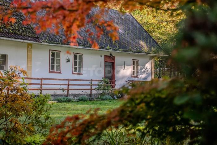 Prodej rodinného domu, Nové Mitrovice, 101 m2