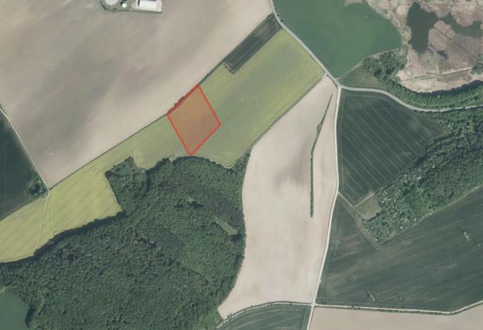 Prodej pole, Střížovice, 29324 m2