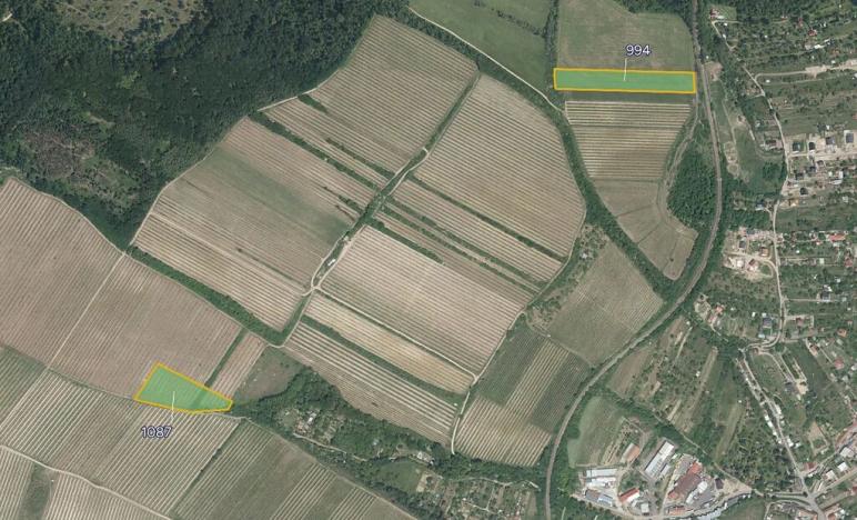 Prodej pole, Nový Šaldorf-Sedlešovice, 23720 m2