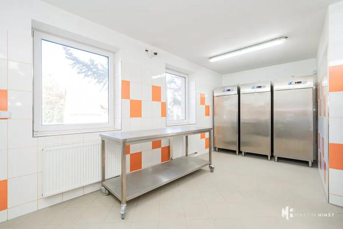 Pronájem výrobních prostor, Zlonín, Hlavní, 50 m2