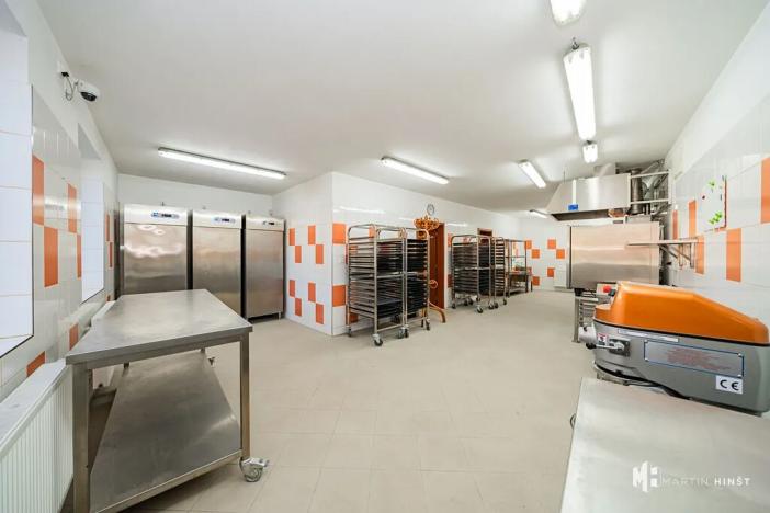 Pronájem výrobních prostor, Zlonín, Hlavní, 50 m2