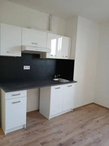 Pronájem bytu 1+kk, Praha - Břevnov, Na břevnovské pláni, 17 m2