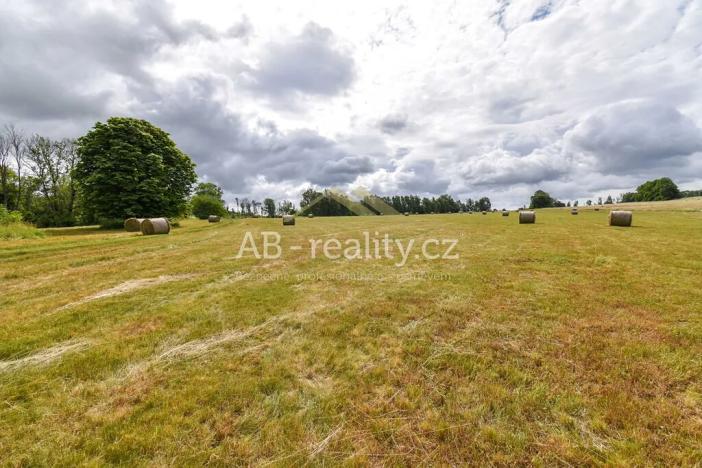 Prodej louky, Úštěk, 131865 m2