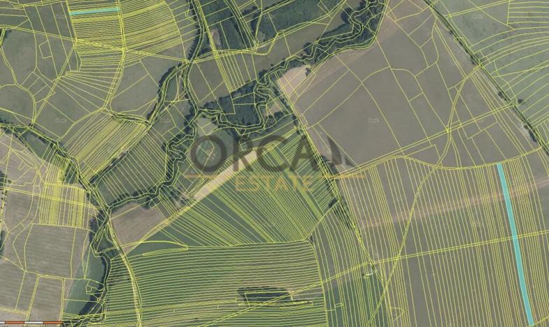 Prodej pole, Záhorovice, 2531 m2