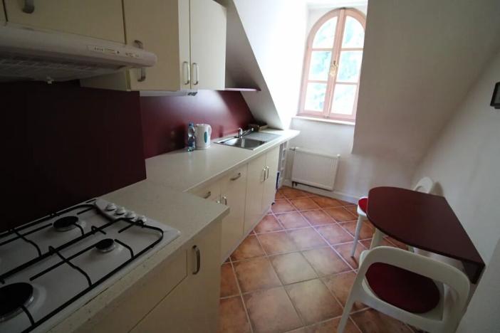 Pronájem bytu 2+1, Karlovy Vary, Pod Jelením skokem, 59 m2