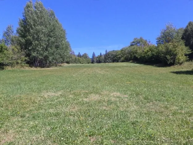 Dražba pole, Strašín, 33898 m2