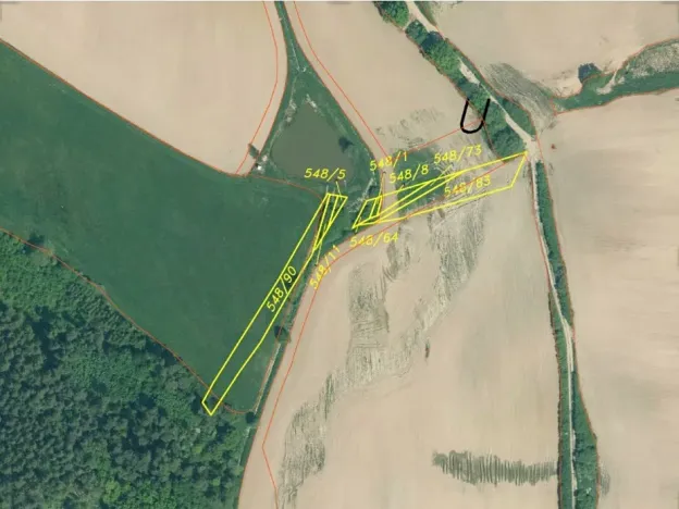 Dražba louky, Přeštěnice, 3046 m2