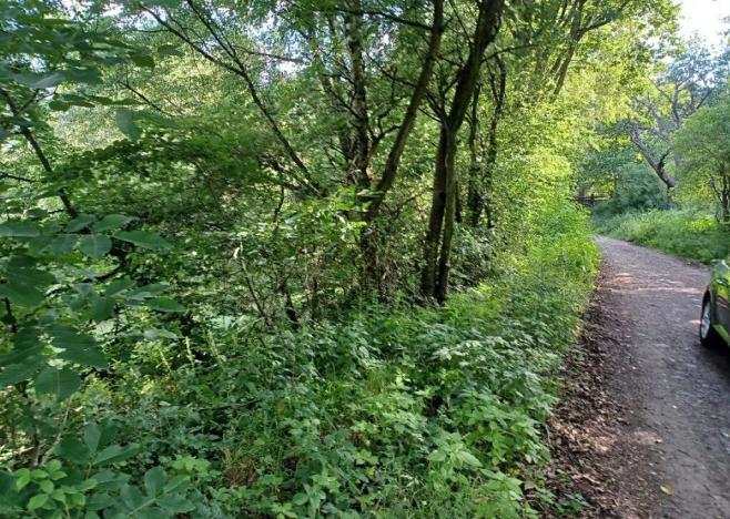 Dražba pozemku, Dubá, 15626 m2