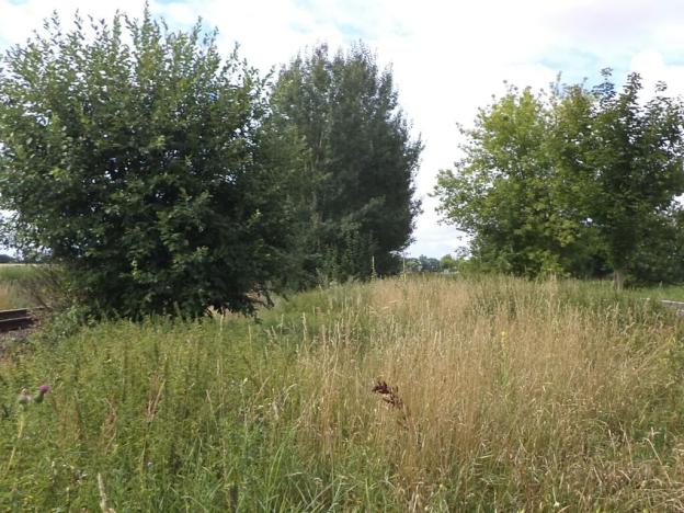 Dražba pozemku pro bydlení, Dobrovíz, 1547 m2