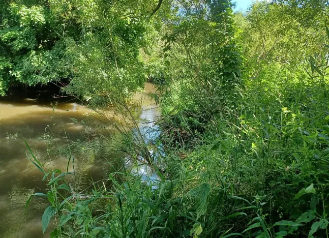 Dražba pozemku, Česká Lípa, 5369 m2