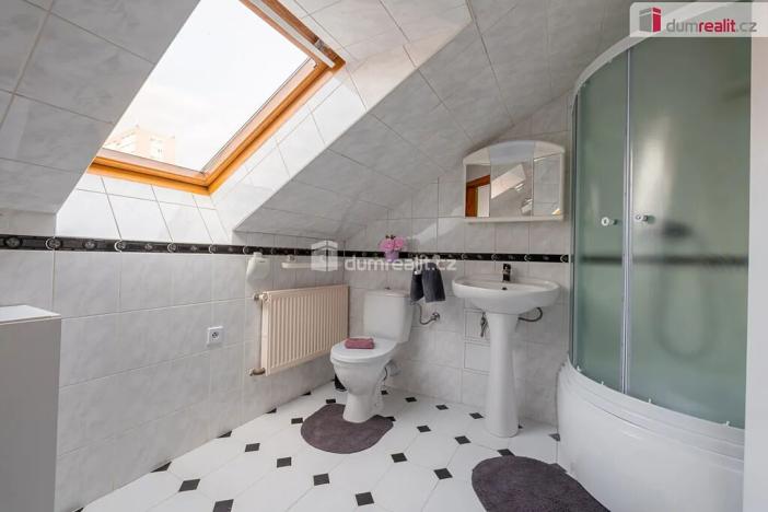 Prodej rodinného domu, Mladá Boleslav, Viničná, 350 m2