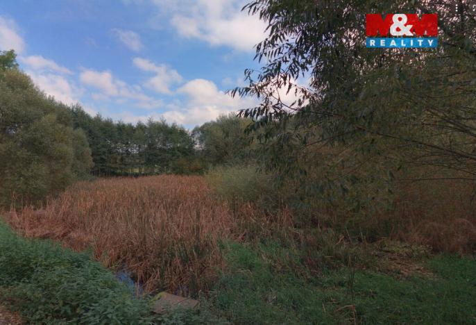 Prodej louky, Petrovice - Žemličkova Lhota, 2513 m2