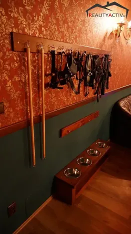 Prodej vícegeneračního domu, Rozdrojovice, Za Humny, 850 m2