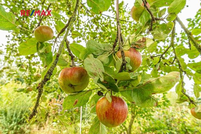 Prodej zahrady, Praha, 489 m2